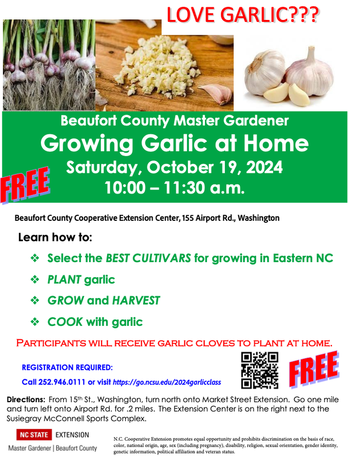 Growing Garlic at Home Flyer
