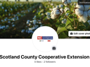 Cotton plants in a field with the Scotland County Cooperative Extension logo and page title