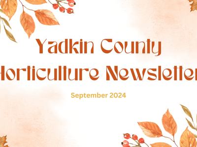 Yadkin County Horticulture Newsletter header with autumn leaves, September 2024