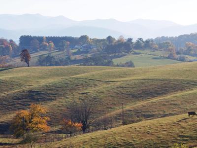 Photo of a Farm in Western North Carolina