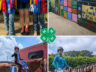 Collage: youth winners with ribbons and horses, decorated stalls; text "State 4-H Horse Show"