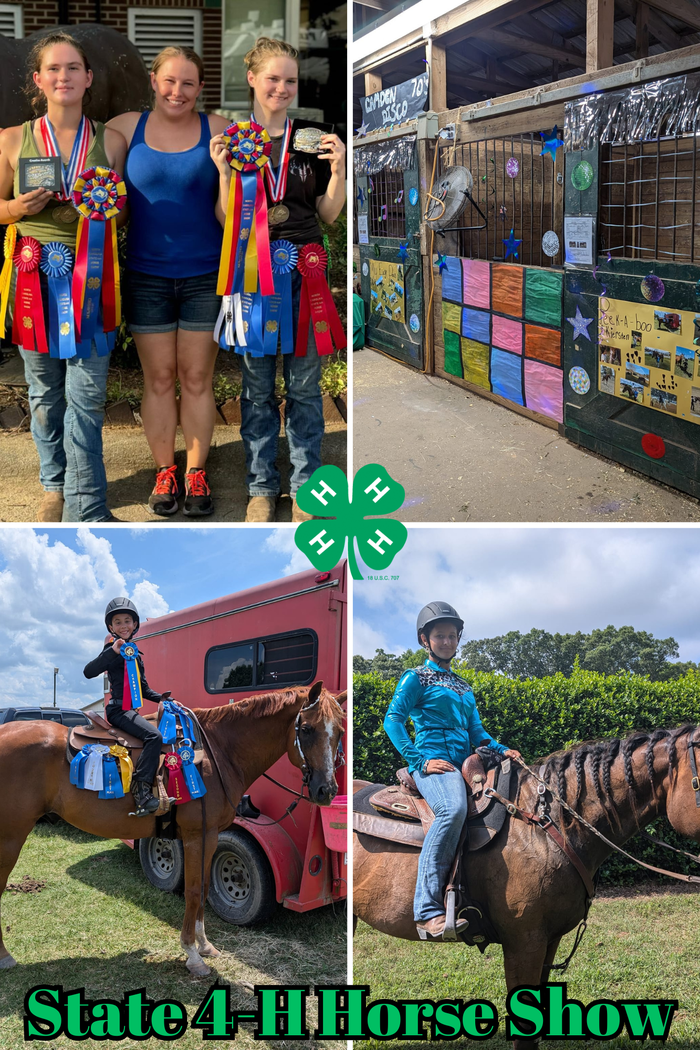 Collage of images from the 4-H Horse Show, including ribbons, horses, contestants and decorated stalls.