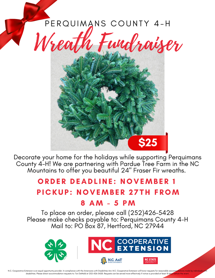 Perquimans County 4-H Wreath Fundraiser Flyer The flyer promotes a wreath fundraiser for Perquimans County 4-H. It features a photo of a green Fraser Fir wreath with a red price tag that says "$25". At the top, "Perquimans County 4-H Wreath Fundraiser" is written in bold red and black text, with a red bow graphic in the upper left corner. Details include: "Decorate your home for the holidays while supporting Perquimans County 4-H! We are partnering with Pardue Tree Farm in the NC Mountains to offer you beautiful 24'' Fraser Fir wreaths." Order Deadline: November 1 Pickup: November 27th from 8 AM - 5 PM at the Perquimans County Extension Office. Instructions to place an order by calling (252) 426-5428, with payment by check to "Perquimans County 4-H", and mail checks to PO Box 87, Hertford, NC 27944. The logos of N.C. Cooperative Extension, NC A&T, and NC State University are displayed at the bottom. The flyer includes an equal opportunity provider disclaimer at the very bottom.