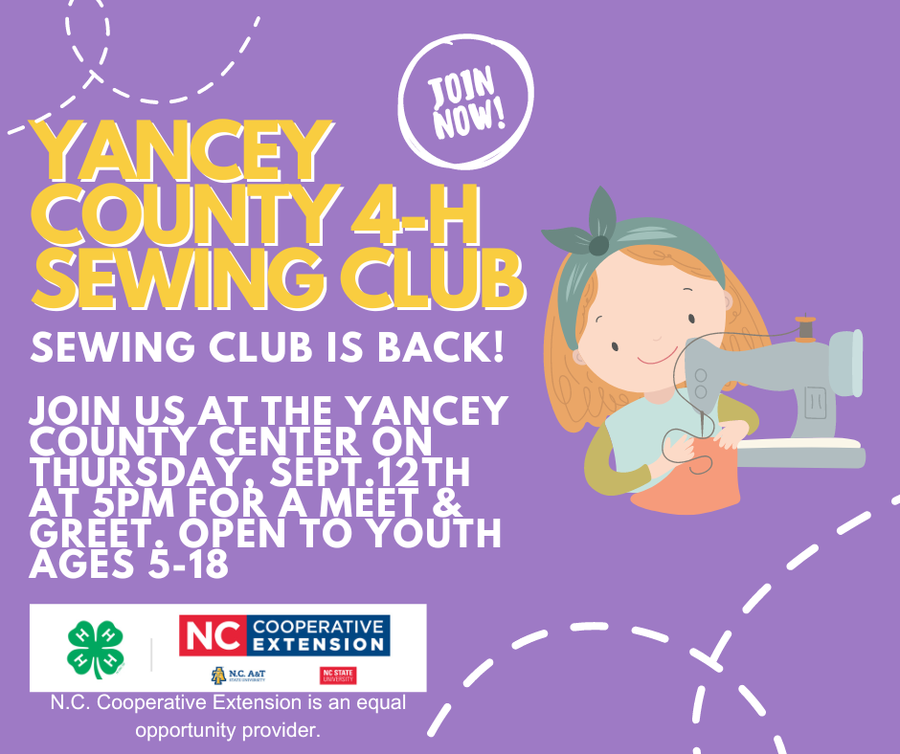 Yancey County Sewing Club is back!