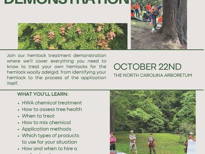 hemlock demo flyer