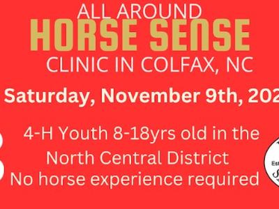 horse sense all-around clinic banner