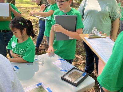 Children in green shirts examining specimens and recording observations at outdoor table