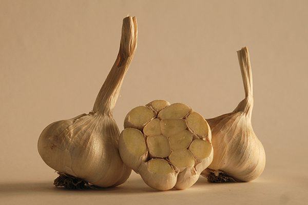 Bulbs of garlic, one is sliced in half horizontally.