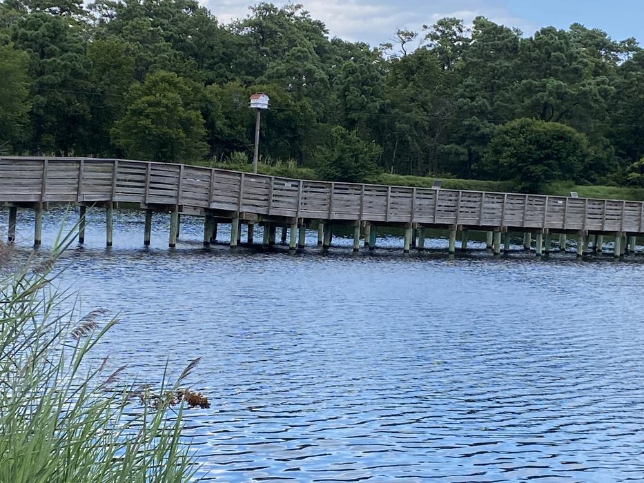 A boardwalk across water.