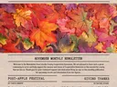 Lincoln County Cooperative Extension newsletter cover; "NEWSLETTER" headline, autumn leaves, Nov 2024