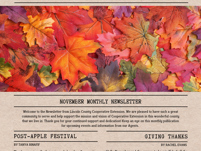 Lincoln County Cooperative Extension newsletter cover; "NEWSLETTER" headline, autumn leaves, Nov 2024