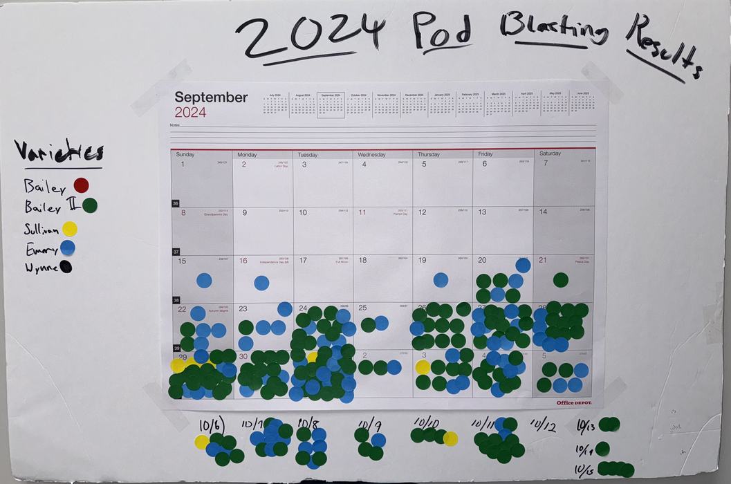 Pod Blasting Calendar showing stickers that denote different varietals. 