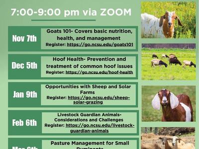 Winter Webinar Series