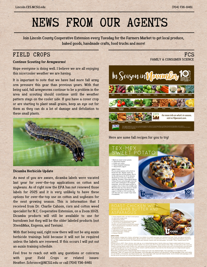 Continue Scouting for Armyworms!