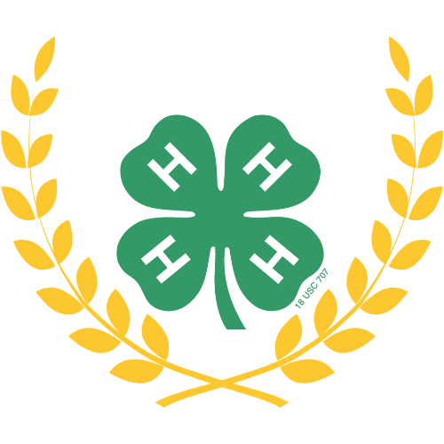 kotinos with 4-h clover in the middle