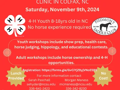 All Around HORSE SENSE clinic in Colfax, NC — Nov 9, 2024; 4-H youth 8–18; No cost; Lunch provided
