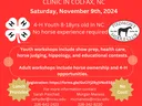 All Around HORSE SENSE clinic in Colfax, NC — Nov 9, 2024; 4-H youth 8–18; No cost; Lunch provided