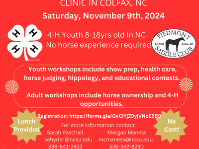 All Around HORSE SENSE clinic in Colfax, NC — Nov 9, 2024; 4-H youth 8–18; No cost; Lunch provided