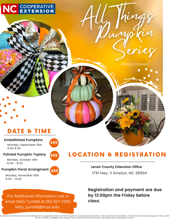 Did you know that research shows artistry, or crafting, has many benefits. From improving memory and problem solving, to reducing stress and decreasing anxiety and depression. It improves both fine and gross motor skills and helps improve self-confidence. The list goes on…If you missed the first two classes you are in luck! Monday, November 18th is our last class. Dr. Tammy Kelly will show you how to easily recreate your pumpkin using your natural resources.