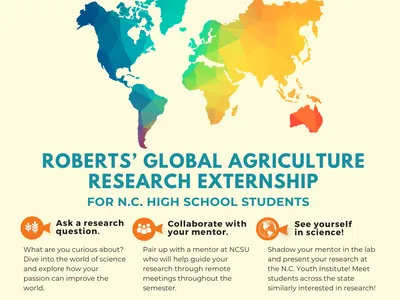 apply to youth global research externship