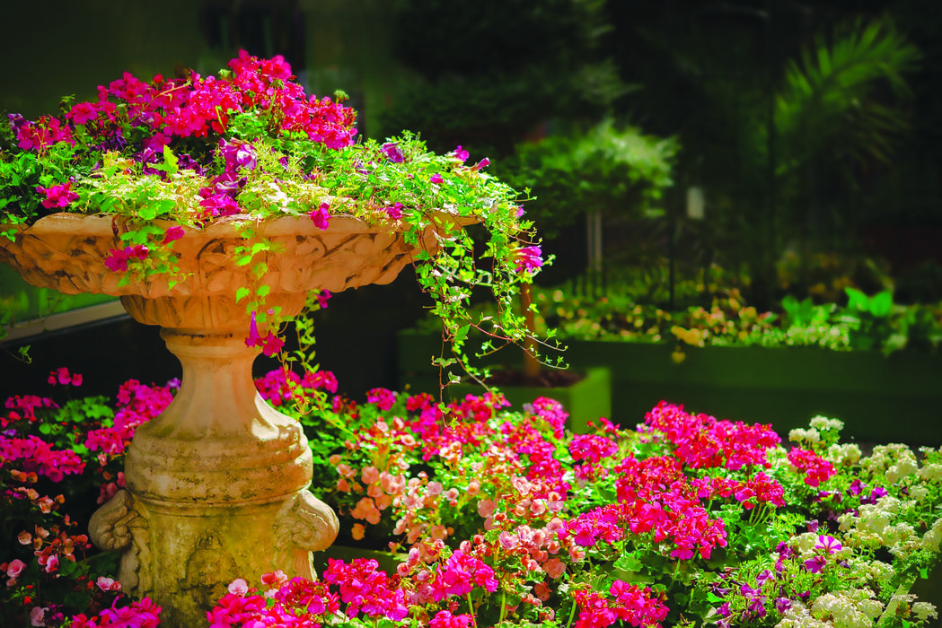 Birdbath covered with pink flowers image by Dar1930 from Pixabay