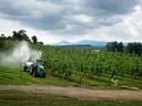 Tractor spraying mist over orchard rows under cloudy sky
