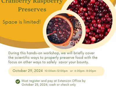 My senses are in overdrive right now with all the sights, sounds, smells, and taste of fall and all the up-coming holidays that it is hard for me to focus! But I'll tell what I am focused on, the Cranberry Raspberry Preserves I made last week! This recipe