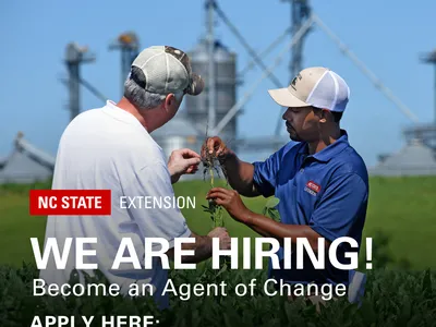 Two men in field examine a plant; text "NC STATE EXTENSION WE ARE HIRING! Become an Agent of Change"