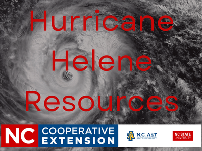 Hurricane Helene Resources written in red with a hurricane photo in the background