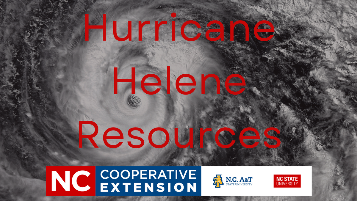 Hurricane Helene Resources written in red with a hurricane photo in the background