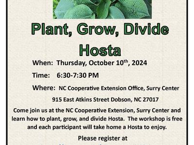 Hosta Workshop Flyer