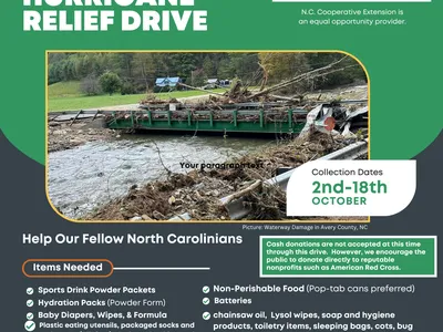 Hurricane Helene Relief
