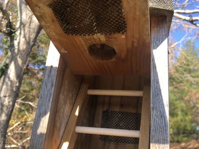 convert bluebird boxes into roosting boxes
