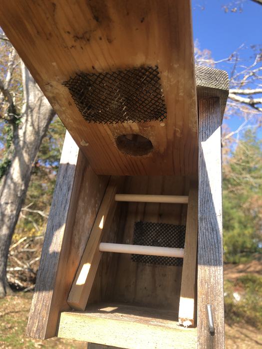 Wildlife Alert - Winter Roosting Boxes for Birds - Henderson County ...