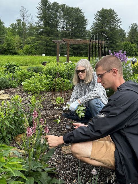 Two people work in a garden together, inspecting flowers.