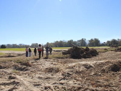 Group of seven people walking across cleared field with piles of uprooted logs and stumps.