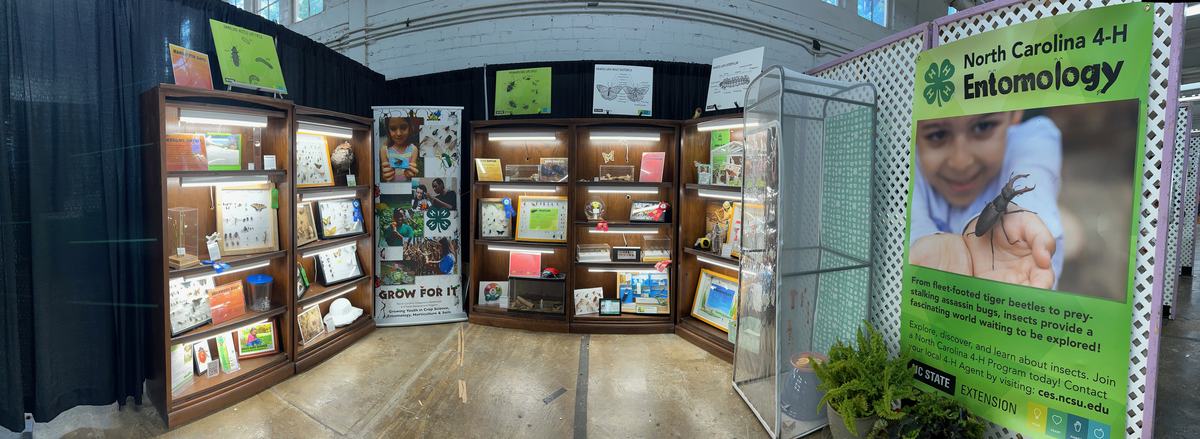 The North Carolina 4-H Entomology display at the NC State Fair.