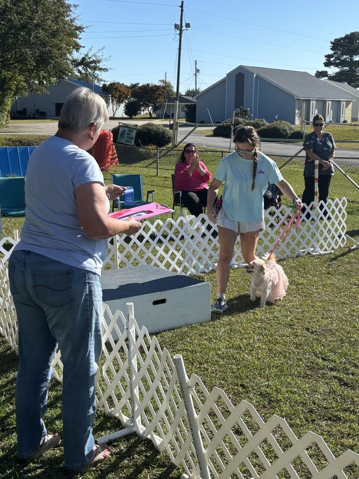 Sandy, handled by Sarah Grace Pfaff, receiving her 1st place ribbon