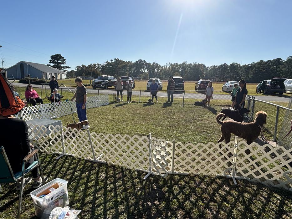 Youth and their canine companions waiting for their turn in the Best Trick Contest