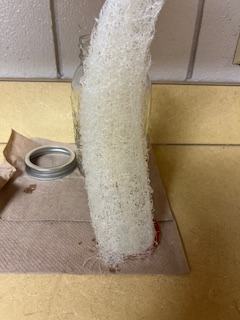 Processed Luffa Drying