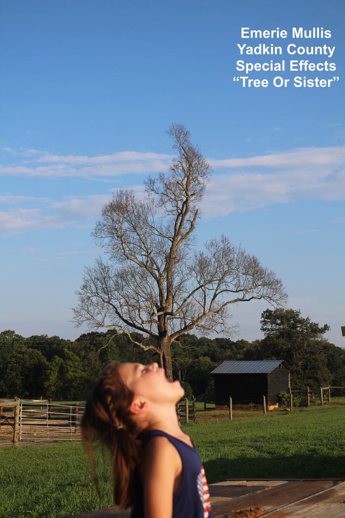 Girl Eating a Tree