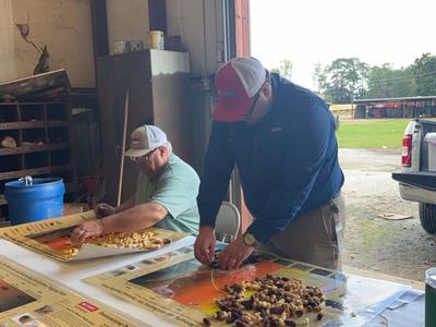 Two men at a table sorting mixed nuts on large posters inside an open garage by a pickup truck