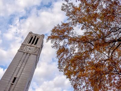 The NC State Memorial Belltower is framed by fall leaves. Photo by Becky Kirkland.
