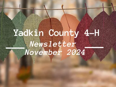 November Newsletter