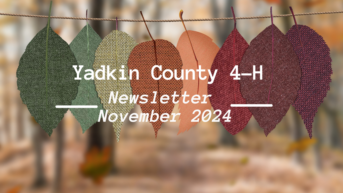November Newsletter