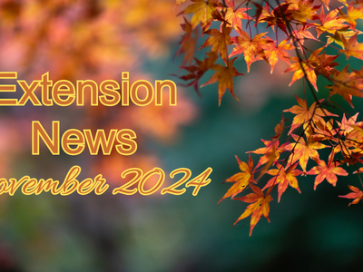 November 2024 Newsletter