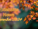November 2024 Newsletter