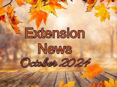 October 2024 Newsletter