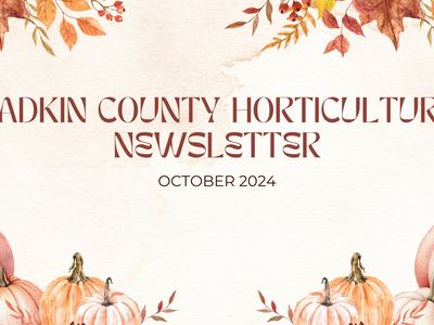 Horticulture October Newsletter