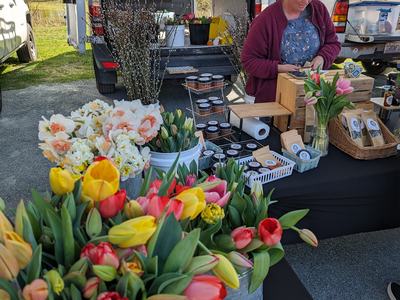Cutflower grower at a local farmers' market